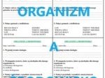 ORGANIZM A ŚRODOWISKO - KARTKÓWKA