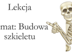 Klasa 7 - Budowa szkieletu - prezentacja