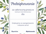 Podziękowanie za działalność w Szkolnym Kole Wolontariatu