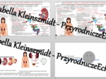 Minizestaw na temat „Budowa i działanie układu wydalniczego” – sketchnotka + karta pracy w power point + gratisowy link do prezentacji multimedialnej niekomercyjnej wykonanej w genial.ly do indywidualnego pobrania i użycia do celów niekomercyjnych. Biolo