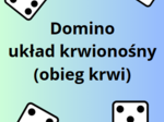 Domino układ krwionośny (obieg krwi)