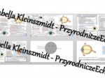 Minizestaw na temat „Budowa i działanie narządu wzroku” – sketchnotka + karta pracy w power point + gratisowy link do prezentacji multimedialnej niekomercyjnej wykonanej w genial.ly do indywidualnego pobrania i użycia do celów niekomercyjnych. Biologia 7