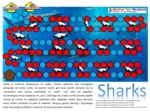 Sharks – Gra planszowa