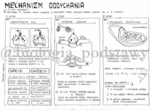 Klasa 7 - Mechanizm oddychania - sketchnotka