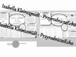 Minizestaw na temat „Kwasy karboksylowe” – sketchnotka + karta pracy w power point + gratisowy link do prezentacji multimedialnej niekomercyjnej wykonanej w genial.ly do indywidualnego pobrania i użycia do celów niekomercyjnych. Chemia 8, „Pochodne węglo