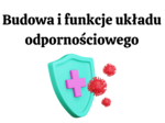 Budowa i funkcje układu odpornościowego 3 KLASA ROZSZERZENIE BIOLOGIA