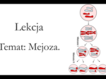 Liceum klasa 1 ( zakres rozszerzony ) - Cykl komórkowy. Mejoza - prezentacja