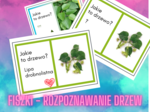 Rozpoznawanie drzew - liście, kora drzew, pokroje