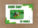 DZIEŃ ŻABY - ZESTAW