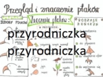 Klasa 6. Biologia. Przegląd i znaczenie ptaków.