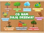 🌳 GAZETKA - CO NAM DAJĄ DRZEWA? 🌳 DZIEŃ DRZEWA 🌳