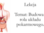 Klasa 7 - Budowa i rola układu pokarmowego - prezentacja