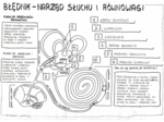 Ucho - klasa 7 - sketchnotka