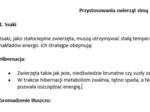 Jak zwierzęta radzą sobie zimą?