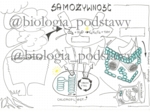 Klasa 5 - Samożywność sketchnotka KP