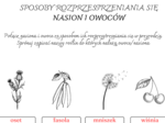 Sposoby rozprzestrzeniania się owoców/nasion