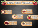 KODEKS GRUPA ŻURAWINKI
