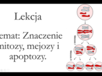 Klasa 1 ( podstawa) - Cykl komórkowy. Mejoza - prezentacja