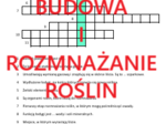 Budowa i rozmnażanie roślin - krzyżówka