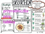 Klasa 5. Biologia. Korzeń