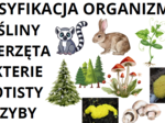 klasyfikacja organizmów