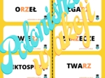 Domino ortograficzne z ,,RZ"