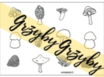 Grzyby. Kolorowanka