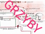 GRZYBY