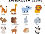 Zwierzęta leśne