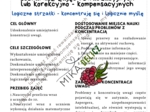 Scenariusz zajęć rewalidacyjnych lub korekcyjno-kompensacyjnych