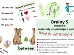 Brainy 5,unit 5, dodatkowe materiały dla nauczyciela/korepatytora
