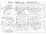 Klasa 6 - Ryby - przegląd i znaczenie - sketchnotka
