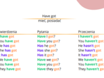 Czasownik have got