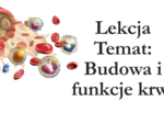 Klasa 7 - Budowa krwi - prezentacja