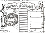 Klasa 5. Biologia. Komórka roślinna (dwie karty pracy)