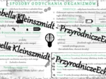 Sketchnotka - notatka „Sposoby oddychania organizmów” wykonana w power point do edycji. Biologia 5; „Budowa i czynności życiowe organizmów”