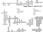 Bugs Team 3 – Unit 3 – krzyżówki