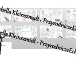 Minizestaw na temat „Różnorodność protistów”– sketchnotka + karta pracy w power point + gratisowy link do prezentacji multimedialnej niekomercyjnej wykonanej w genial.ly do indywidualnego pobrania i użycia do celów niekomercyjnych. Geografia 5, „Wirusy, 