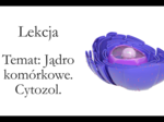Klasa 1 ( zakres rozszerzony) - Jądro komórkowe. Cytozol - prezentacja
