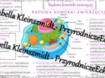 Sketchnotka - notatka „Budowa komórki zwierzęcej” wykonana w power point do edycji. Biologia 5; „Budowa i czynności życiowe organizmów”