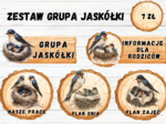 ZESTAW GRUPOWY GRUPA JASKÓŁKI