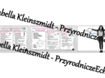 Minizestaw na temat „Siatka geograficzna, równoleżniki i południki - przypomnienie” – sketchnotka + karta pracy w power point + gratisowy link do prezentacji multimedialnej niekomercyjnej wykonanej w genial.ly do indywidualnego pobrania i użycia do celów