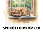 🐱 DZIEŃ KOTA