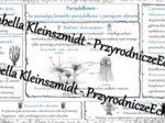 Sketchnotka - notatka „Parzydełkowce – najprostsze zwierzęta tkankowe” wykonana w power point do edycji. Biologia 6; „Od parzydełkowców do pierścienic”