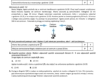 E8 Prędkość, droga i czas - zestaw zadań z matematyki