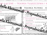 Sketchnotka - notatka „Tkanka łączna - tłuszczowa i krew” wykonana w power point do edycji. Biologia 6; „Świat zwierząt”