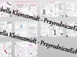 Zestaw sketchnotek – notatek do całego działu „GENETYKA” wykonanych w power point do edycji. Biologia 8