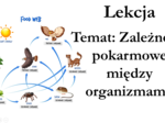 Klasa 8 - Zależności pokarmowe - prezentaja