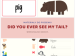 Did you ever see a tail? - materiały do piosenki