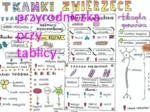 Klasa 7. Biologia. Tkanki zwierzęce